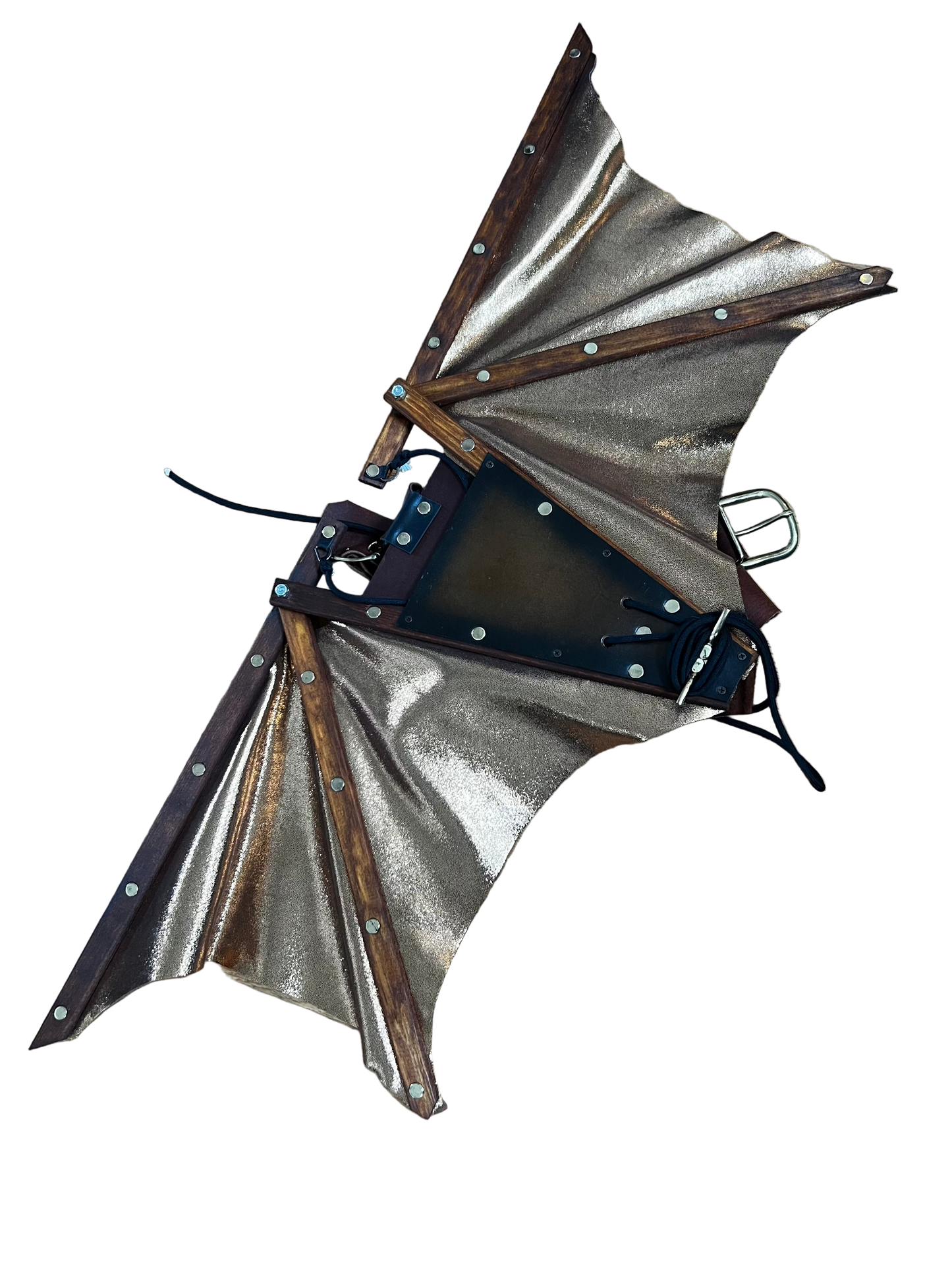 Melody's Steampunk Wings