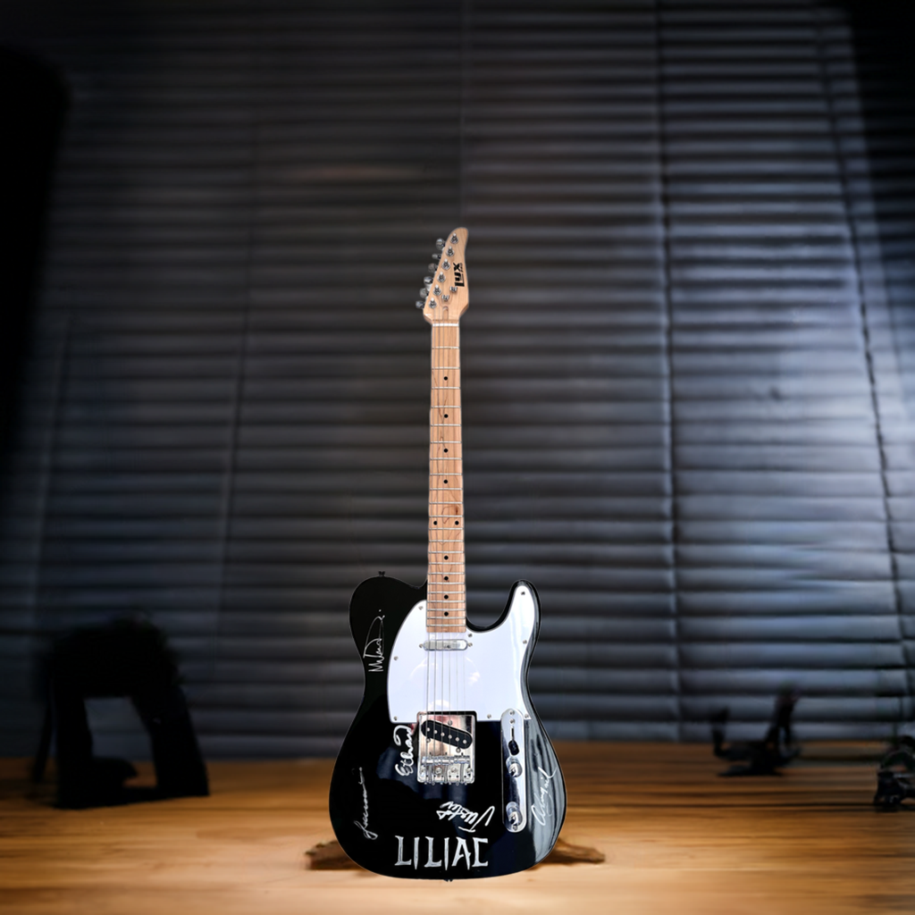 Autographed Guitar (Random Color)